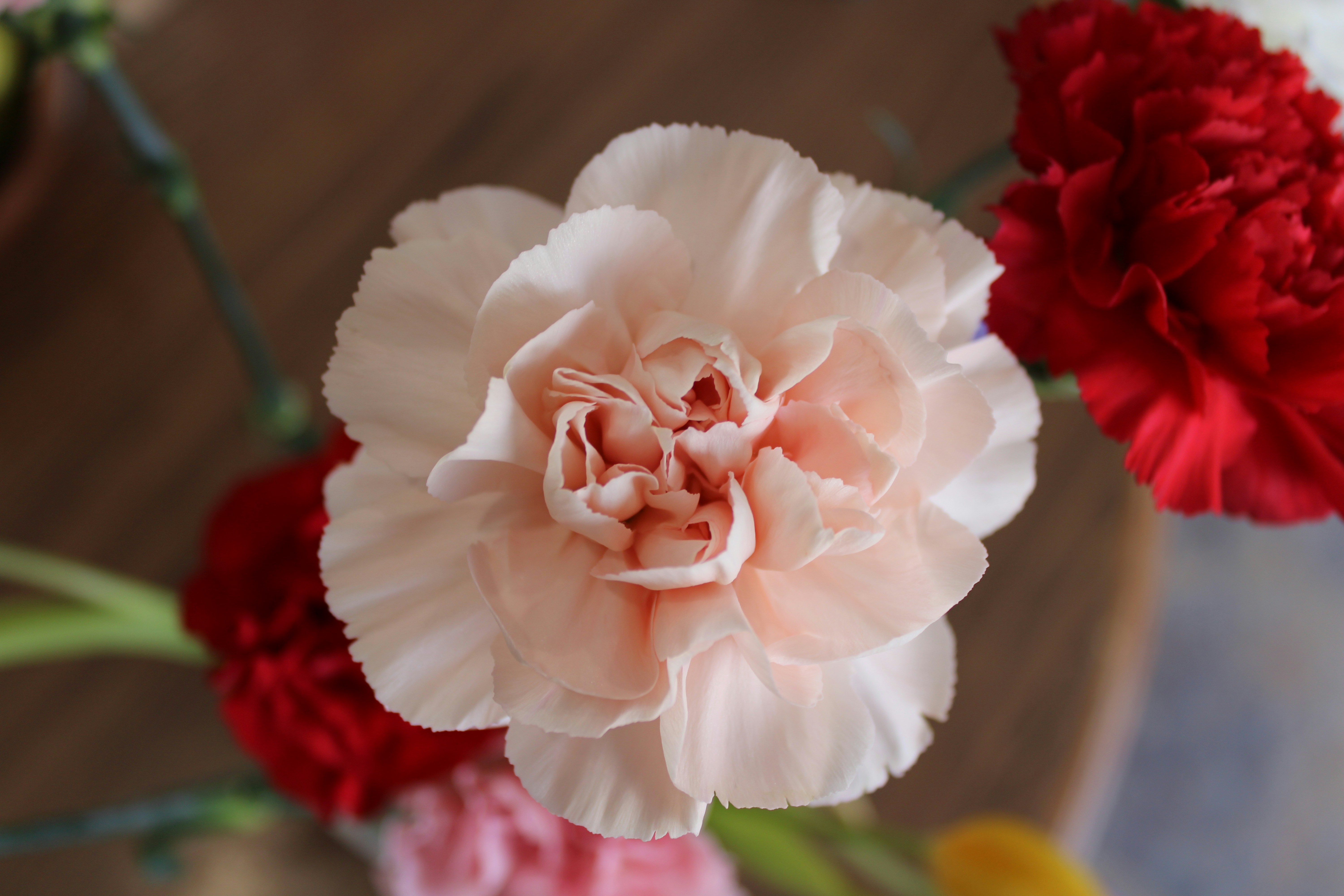 Photo by corinn_suess10