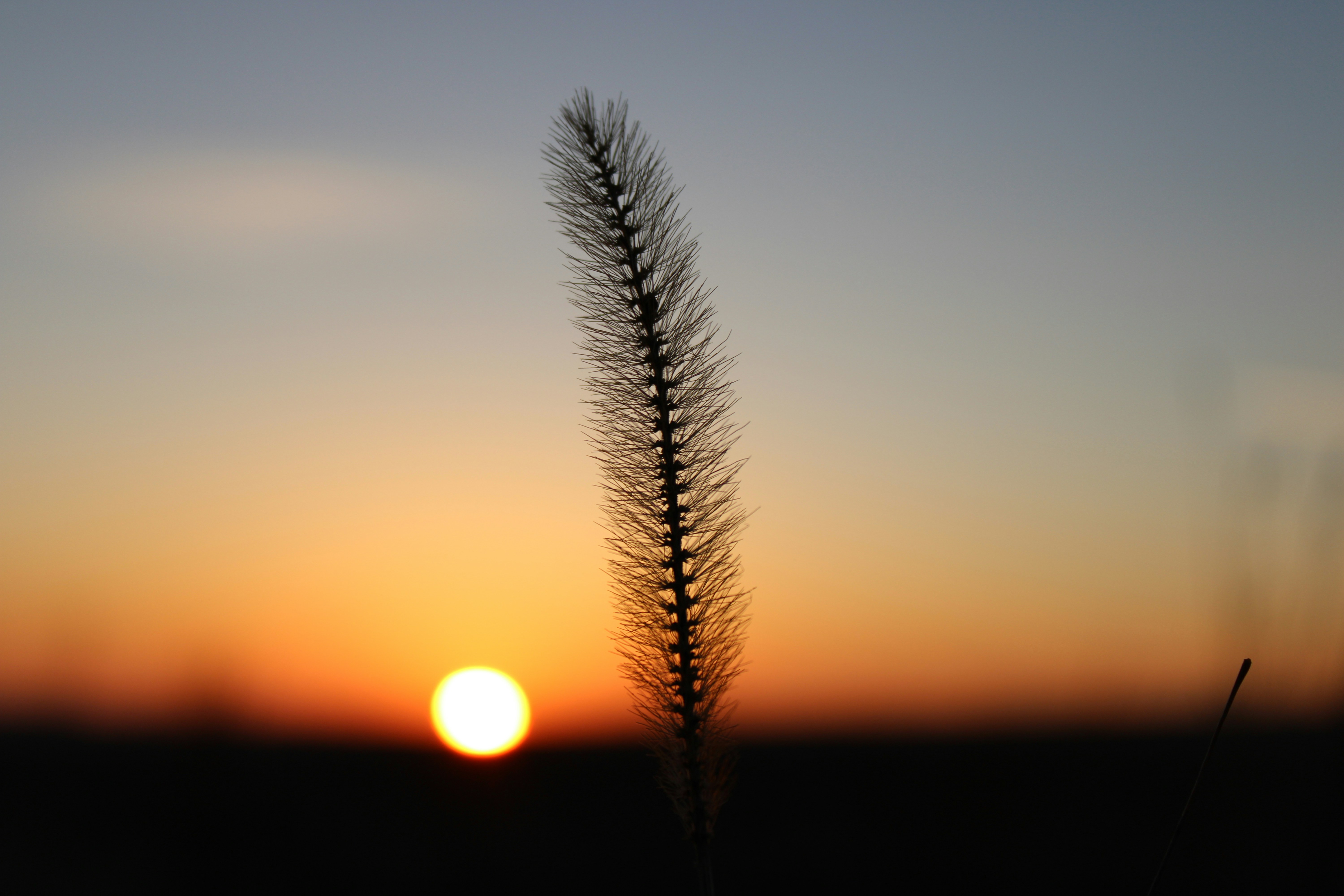 Photo by corinn_suess10