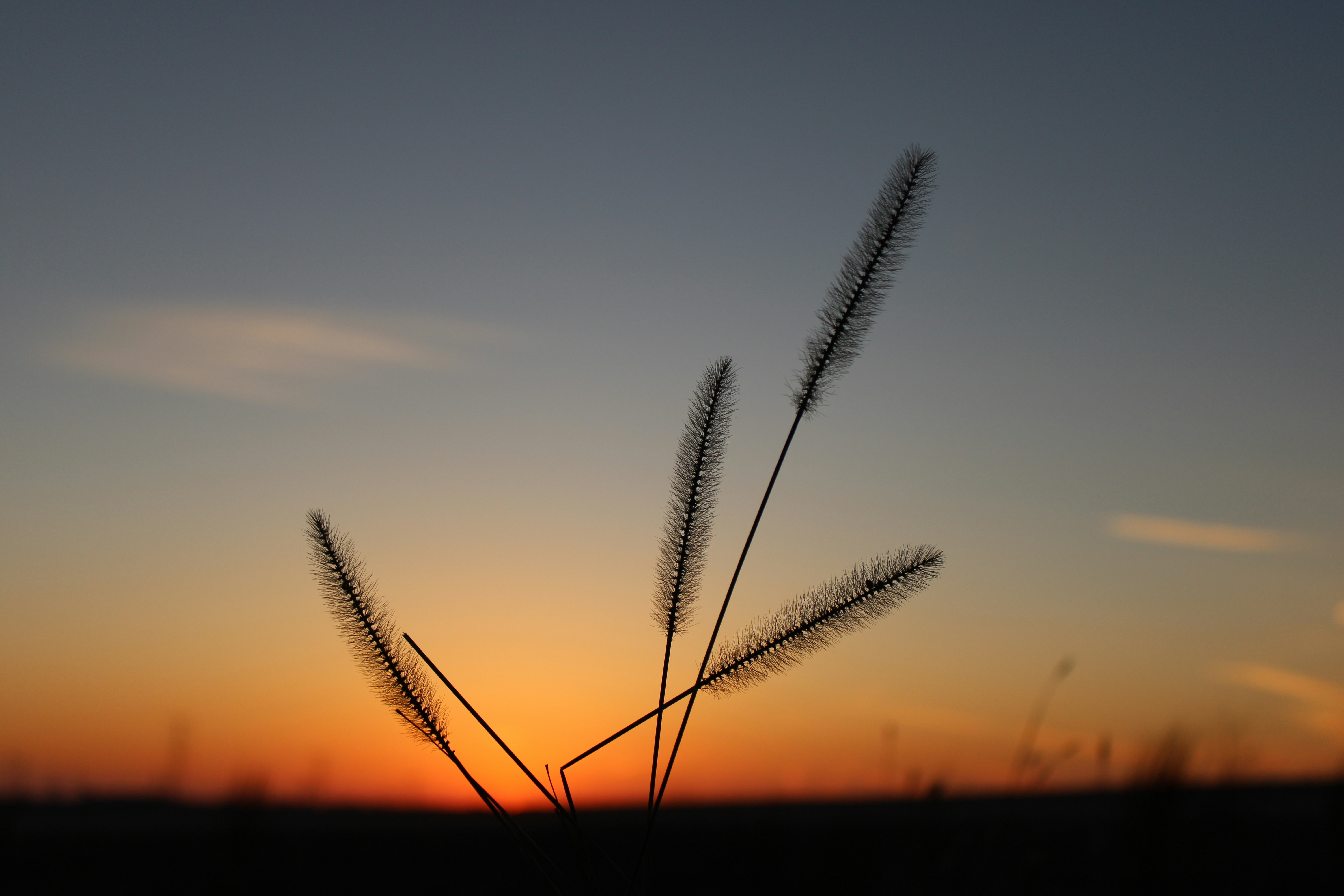 Photo by corinn_suess10