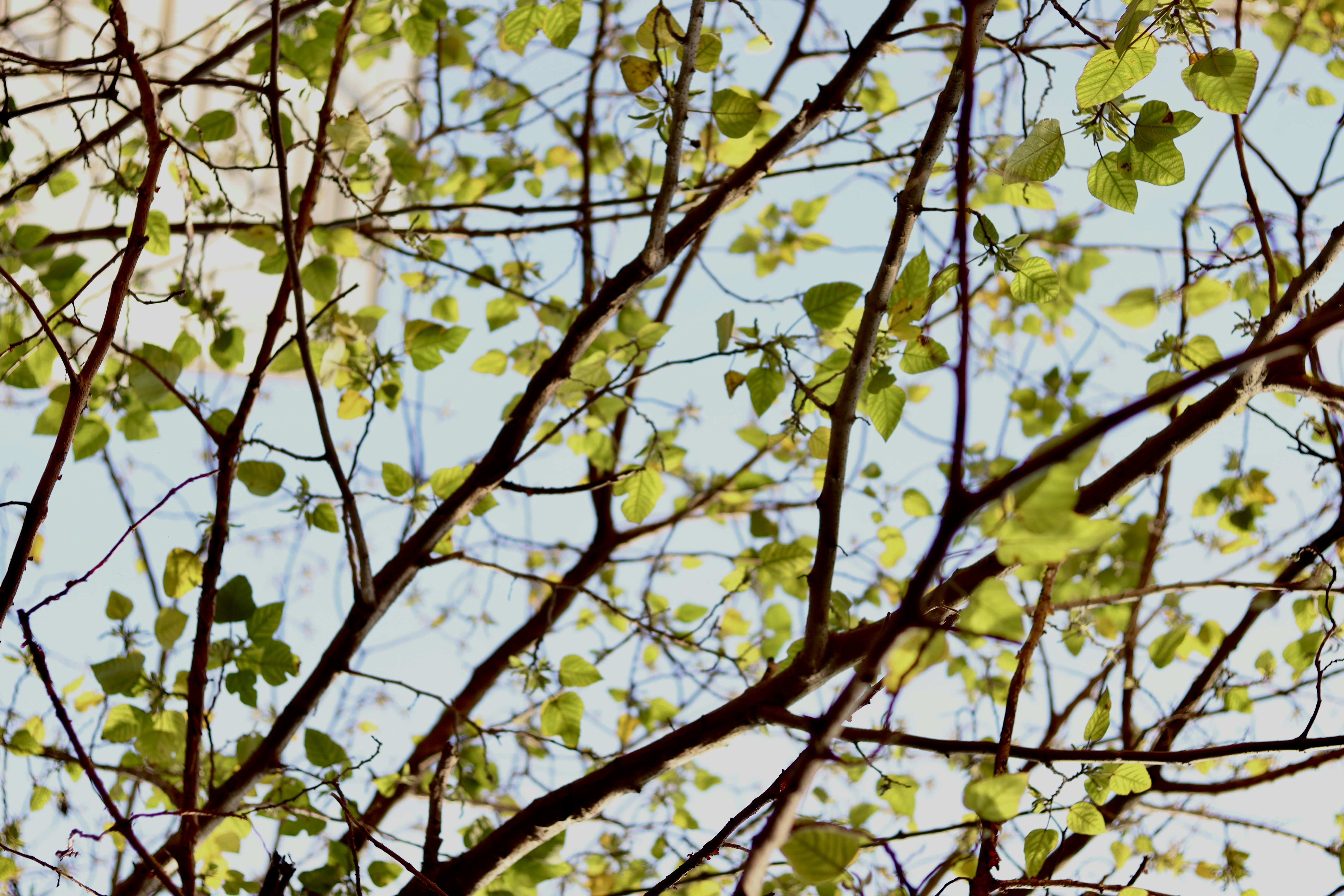 Photo by chaunhan9707