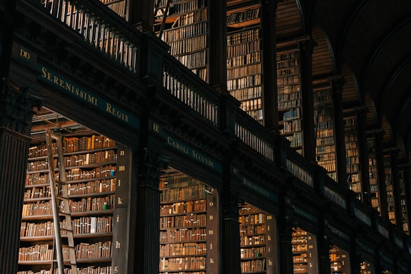 What Content Works Best in LLMs (and How to Leverage It)