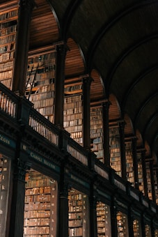 A grand, expansive library room filled with tall shelves lined with numerous books. The architecture features arched ceilings supported by columns, giving the space a historic and majestic feel. Warm, dim lighting adds a cozy and nostalgic atmosphere.