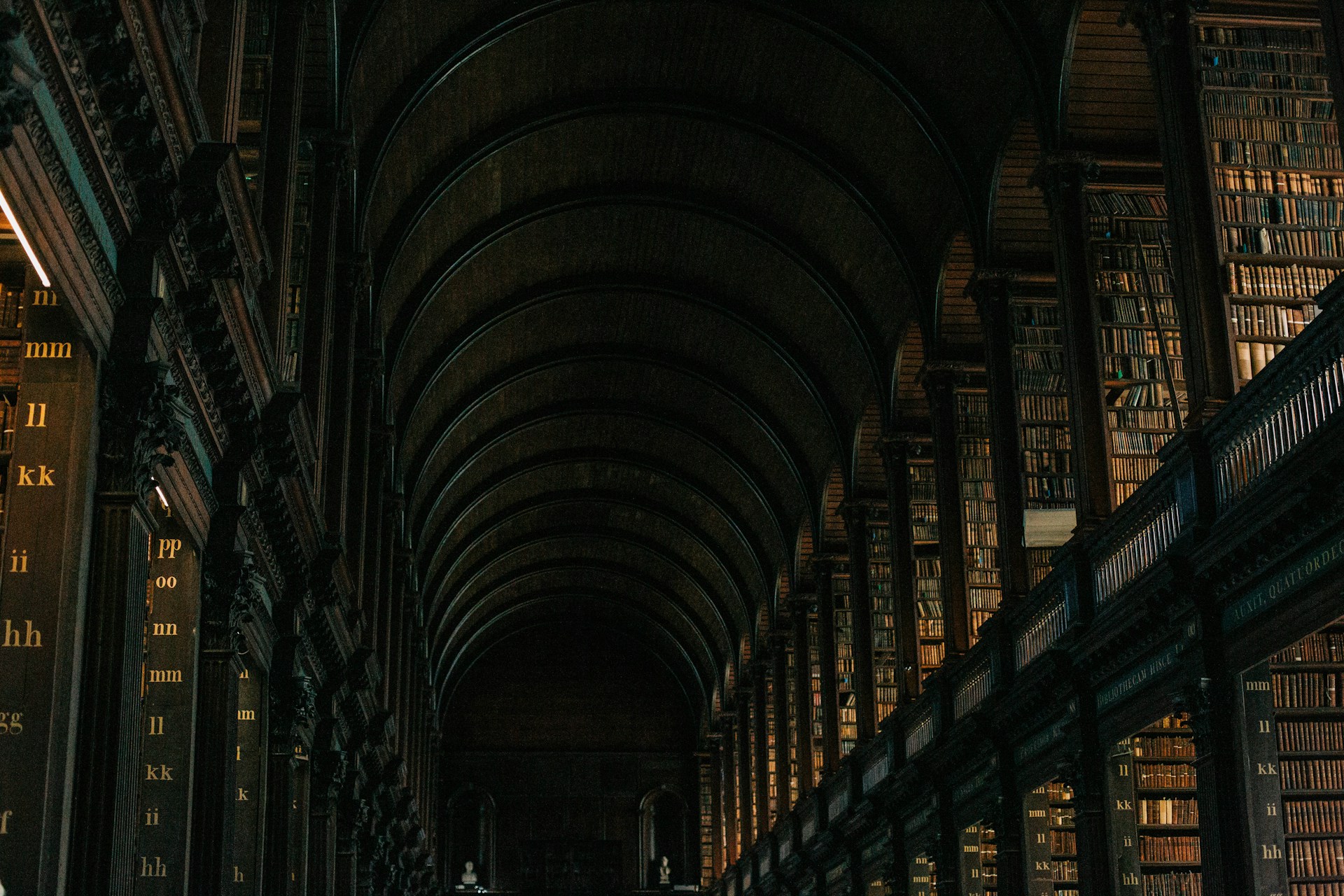 a long library filled with lots of books