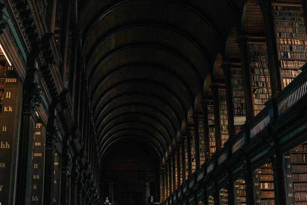 a long library filled with lots of books
