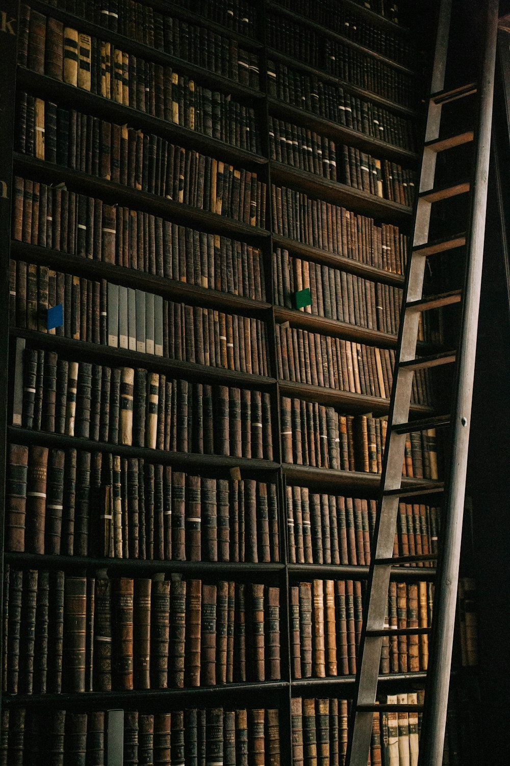 uma escada encostada a uma estante cheia de livros
