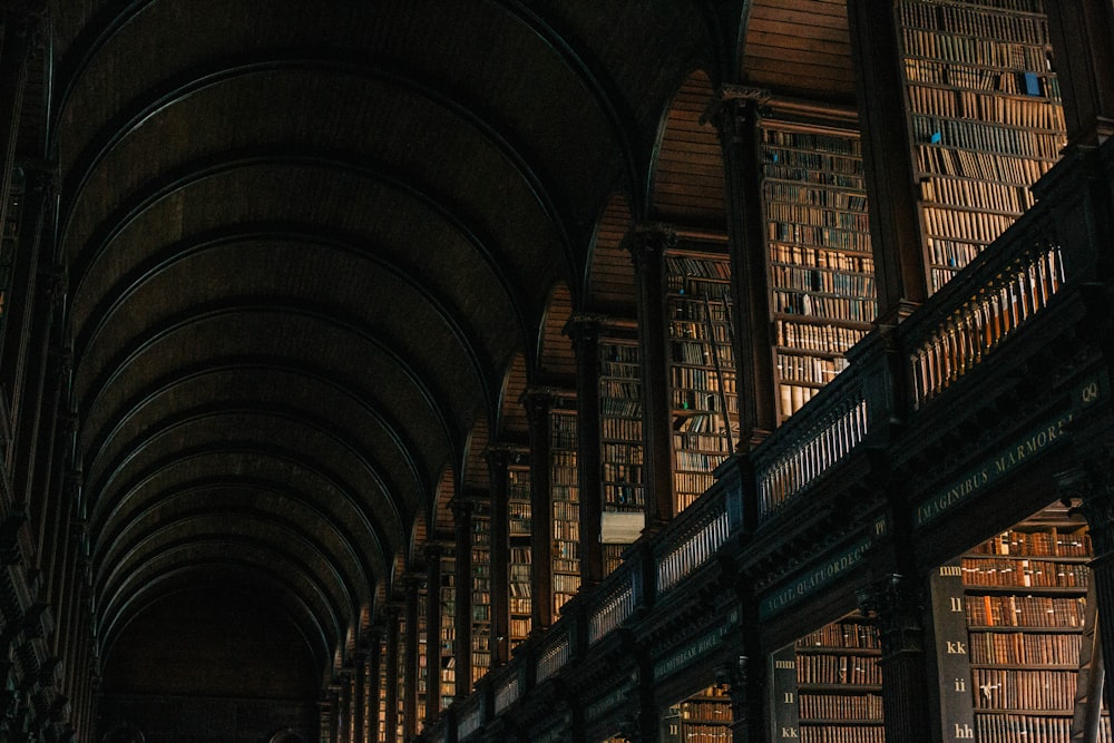 a large library filled with lots of books