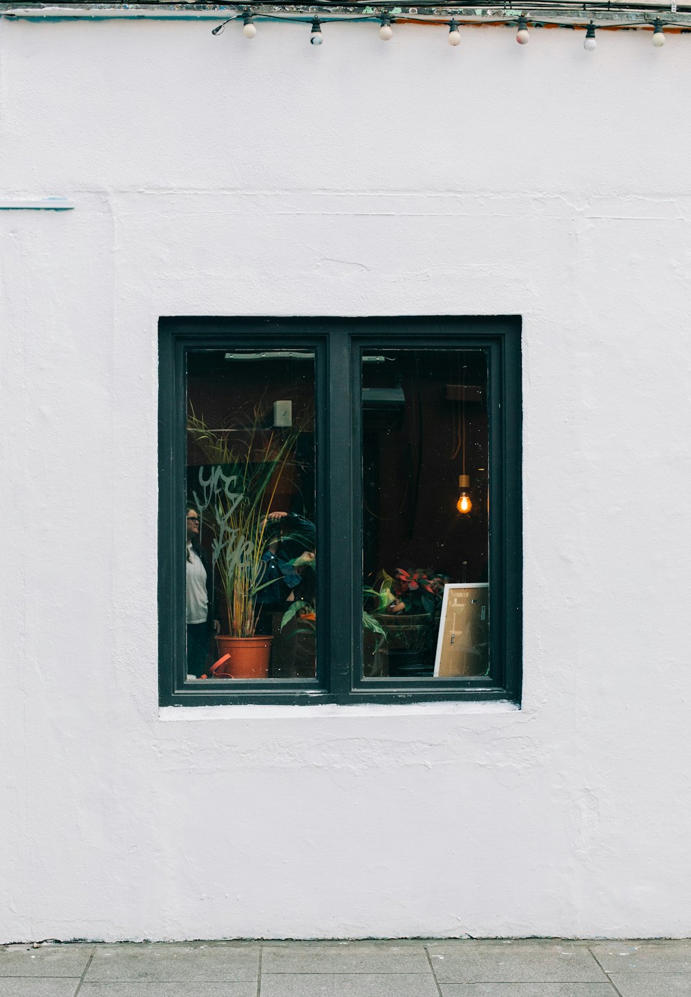 a white building with two windows and a potted plant