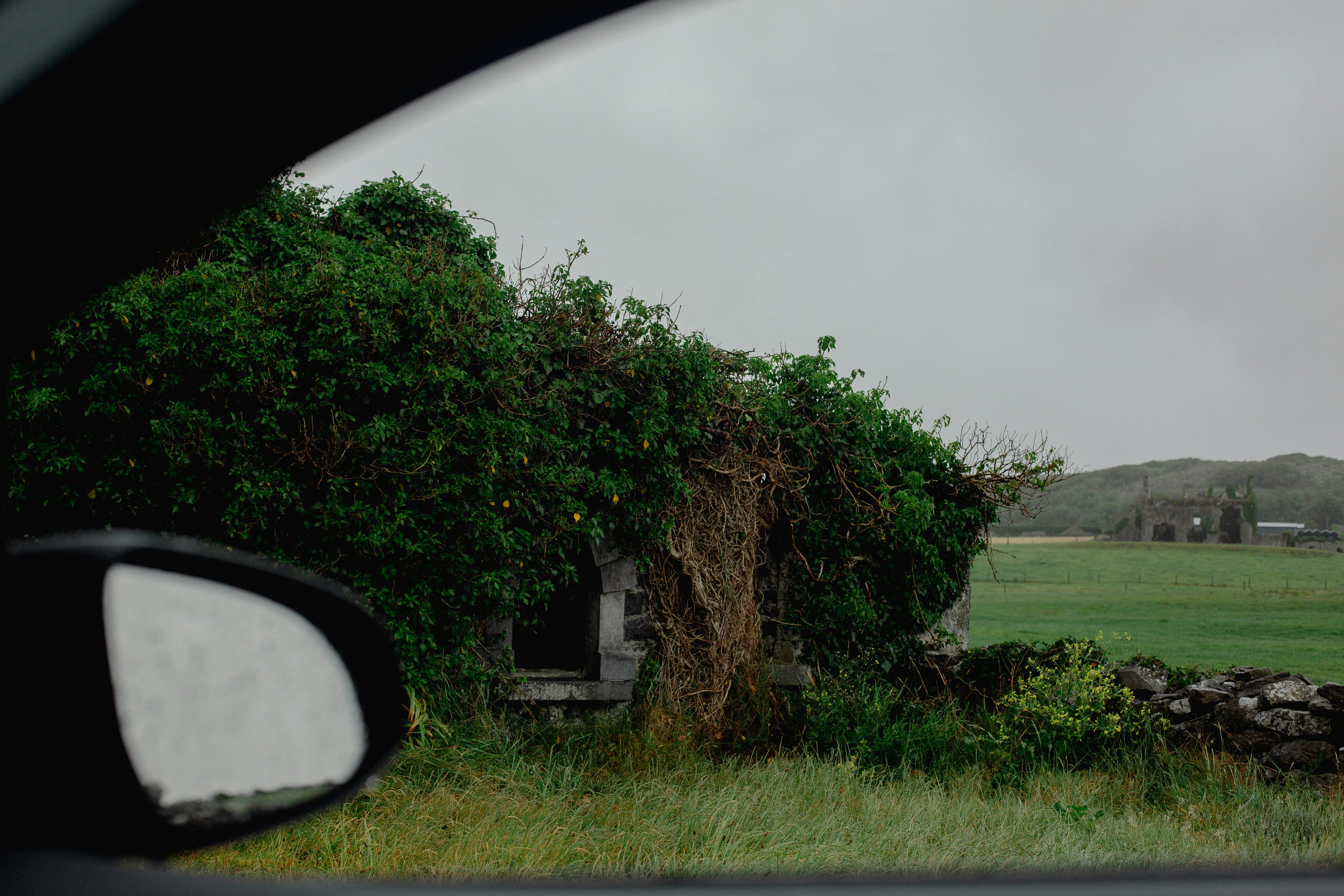 a view of a tree and a building from a car window