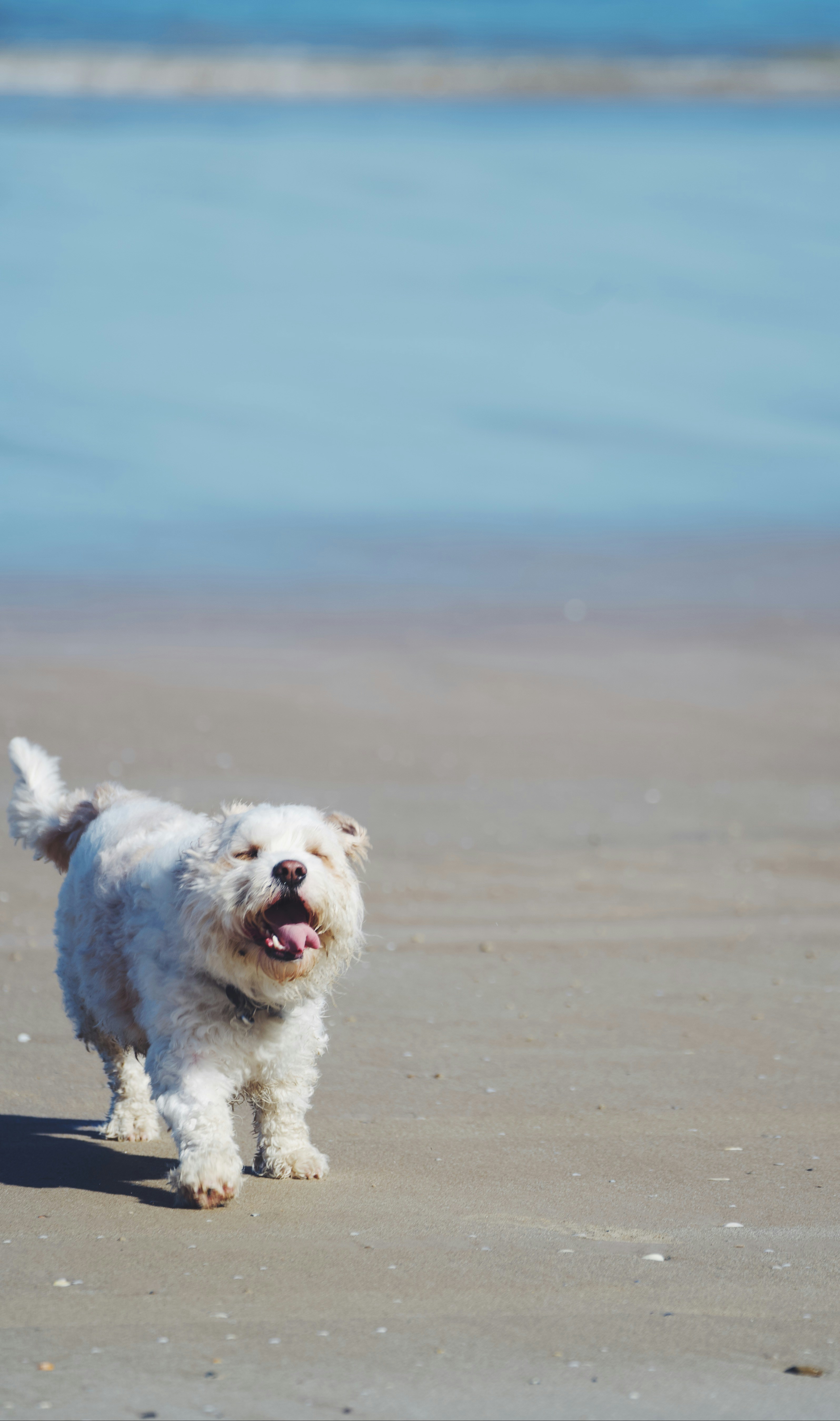 Photo by raunaqsachdev