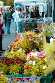 A vibrant display of colorful potted plants at a bustling Guadalajara tianguis.