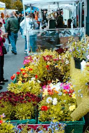 A vibrant display of colorful potted plants at a bustling Guadalajara tianguis.