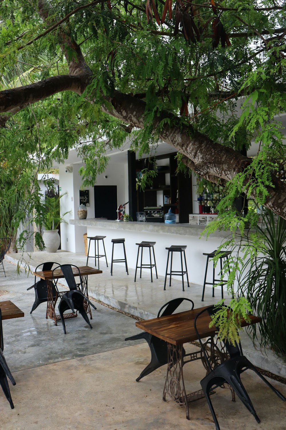 a patio with tables and chairs under a tree