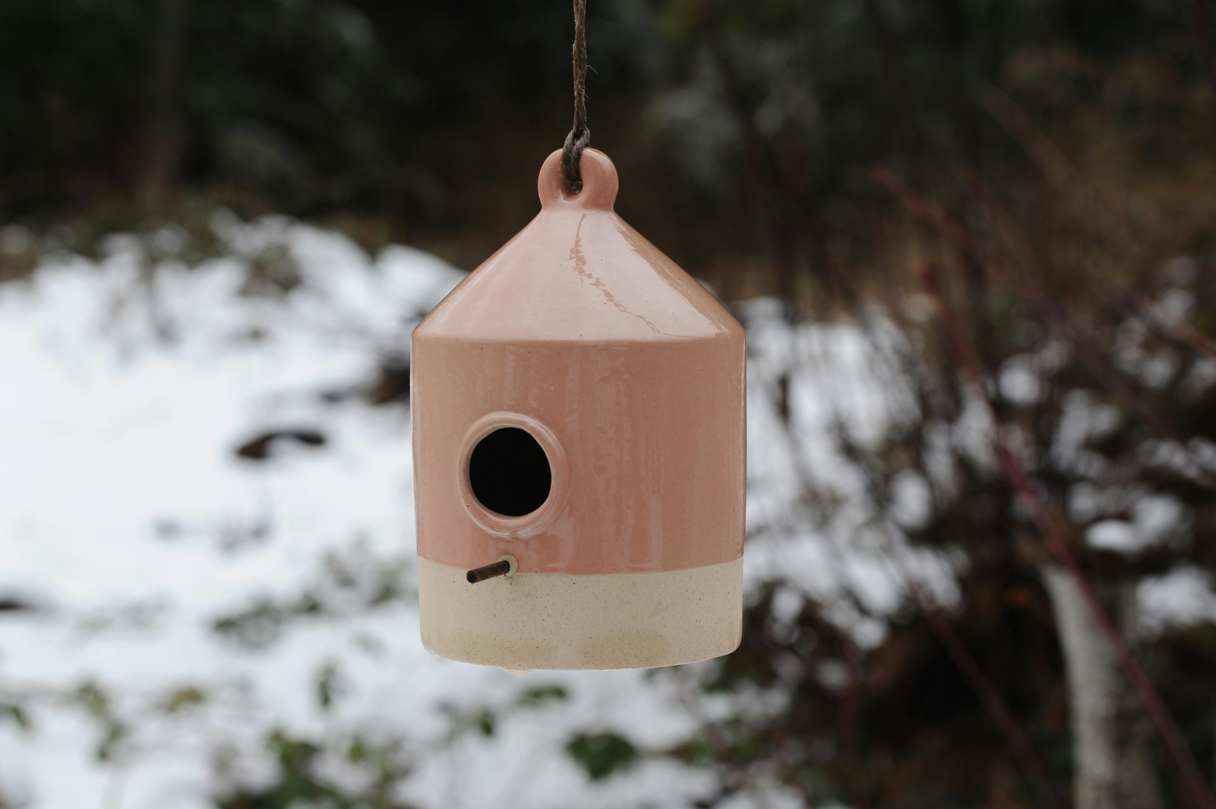 a bird house hanging from a tree in the snow