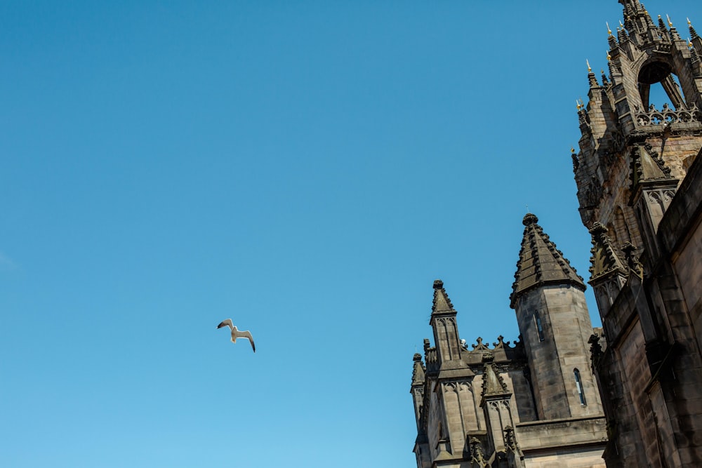 a bird flying in the sky over a building