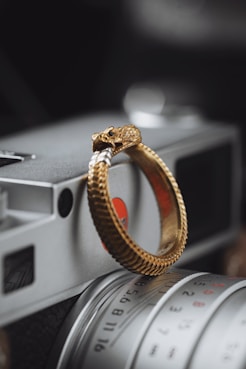 A camera lens framed by a circular snake biting its own tail, symbolizing continuous creativity.