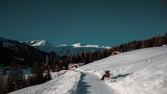a couple of people riding skis down a snow covered slope
