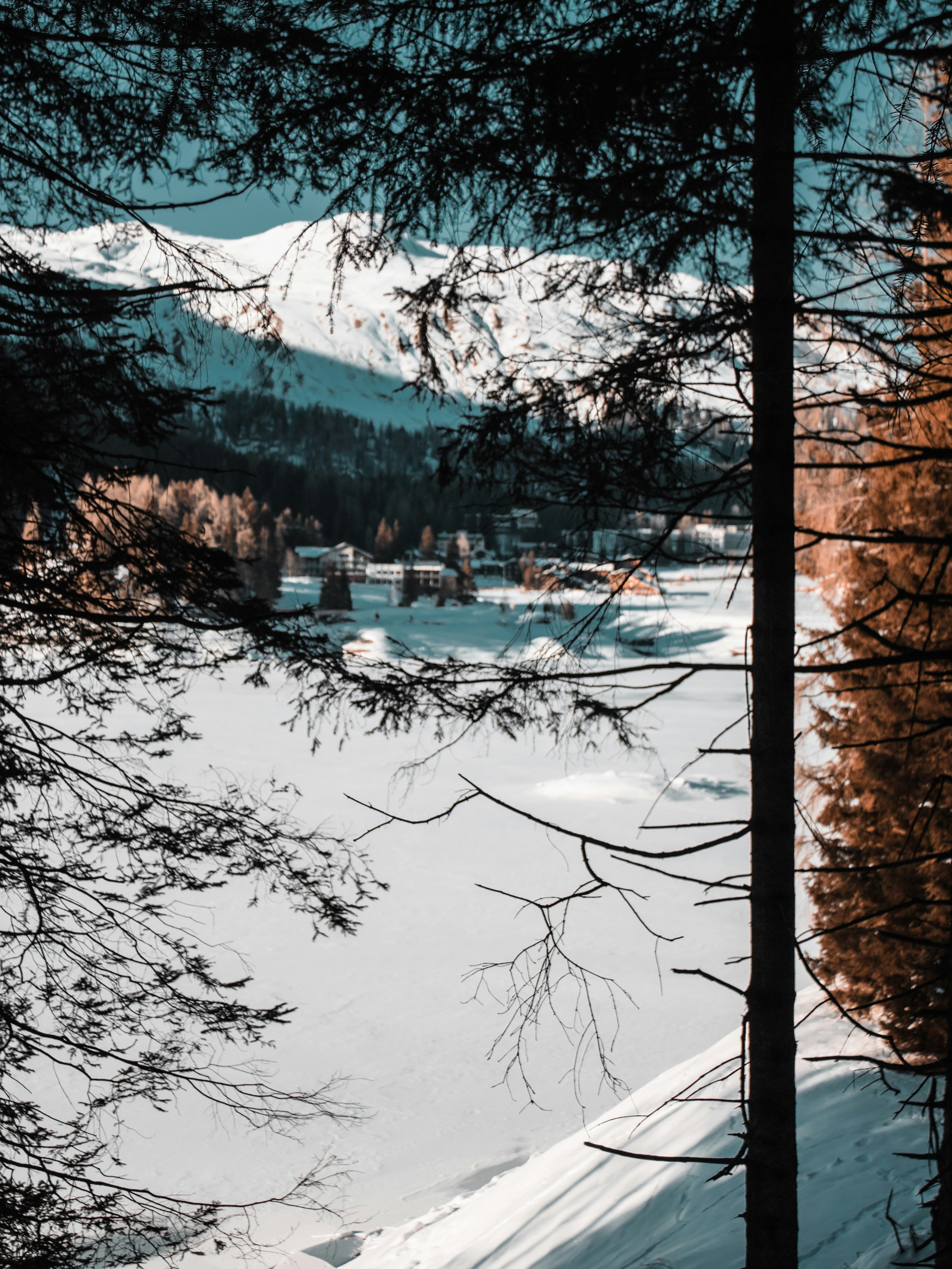 Photo by iaracorreia15