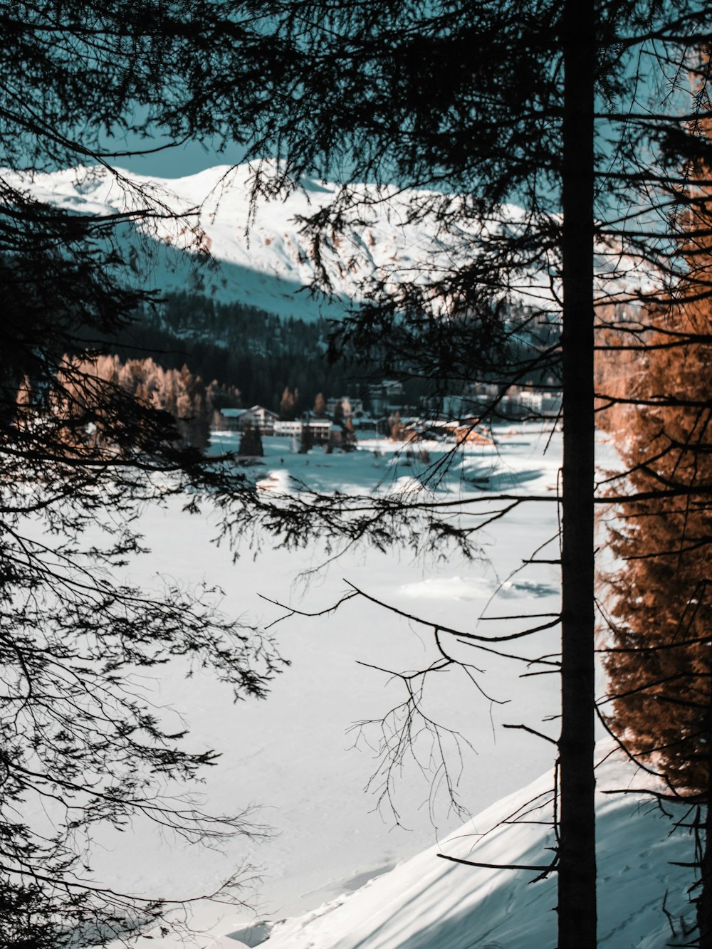 uma vista de uma montanha coberta de neve e um lago