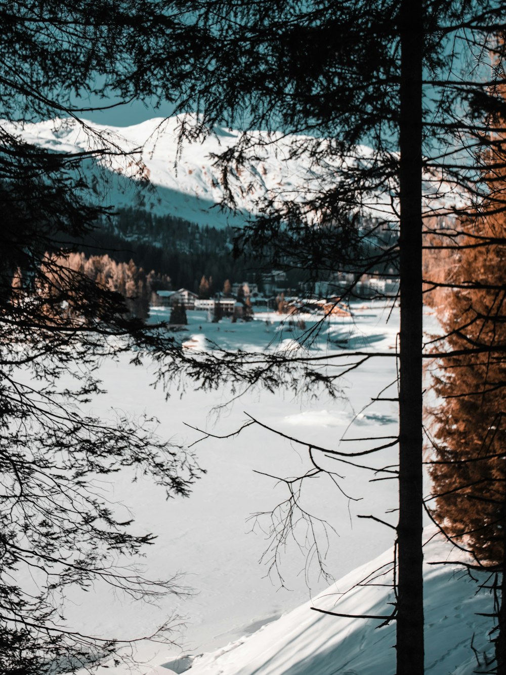 une vue sur une montagne enneigée et un lac