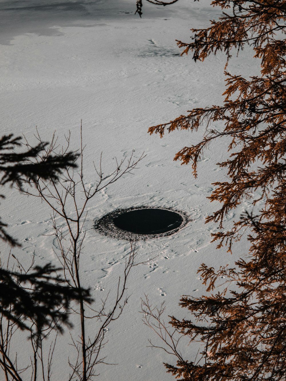 Ein Loch im Schnee, umgeben von Bäumen