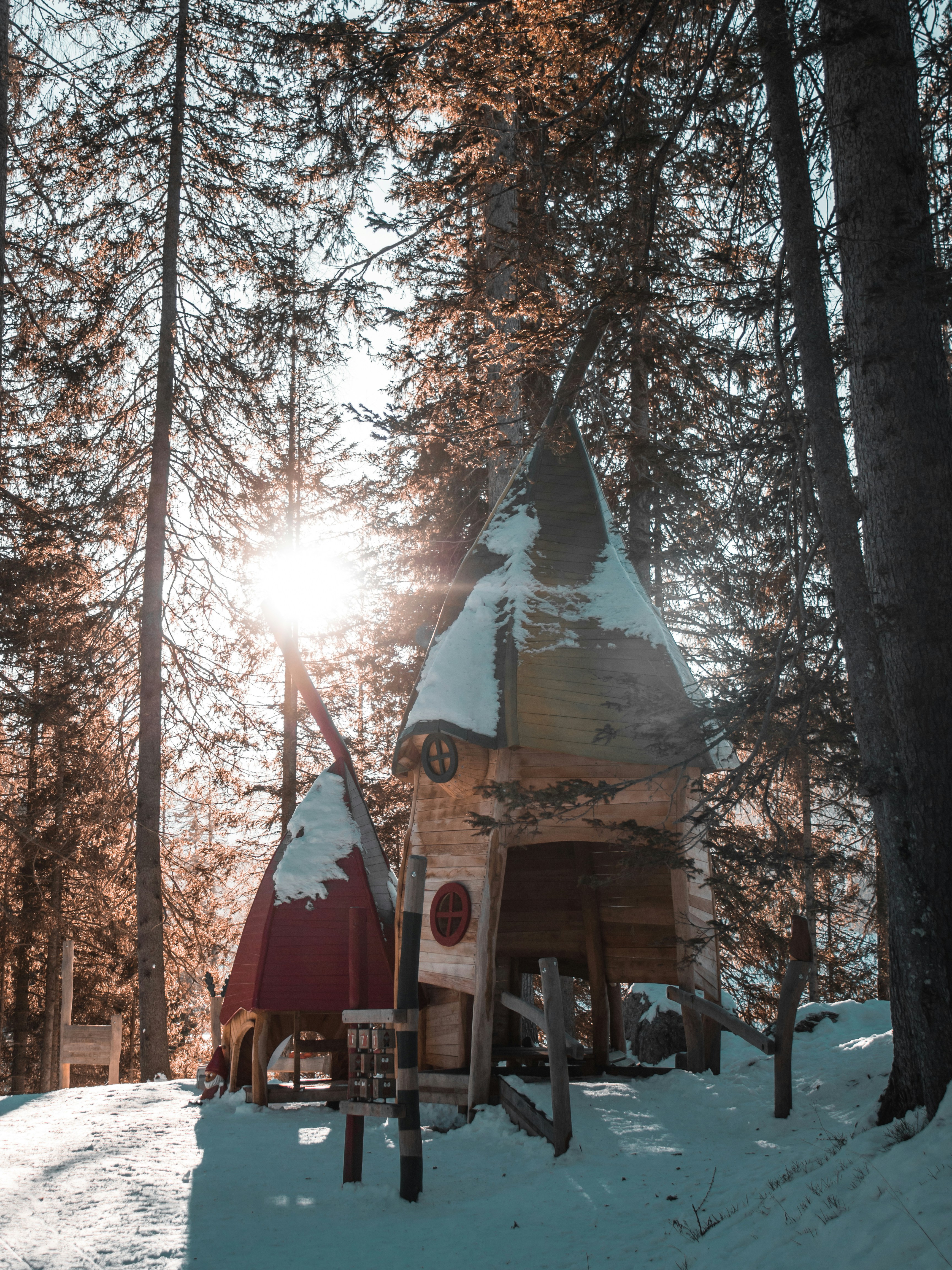 Ein kleines Haus mitten in einem verschneiten Wald