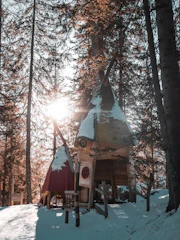 Colorful concept art showing the snowy chalet and surrounding forest.