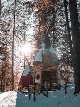 Colorful concept art showing the snowy chalet and surrounding forest.