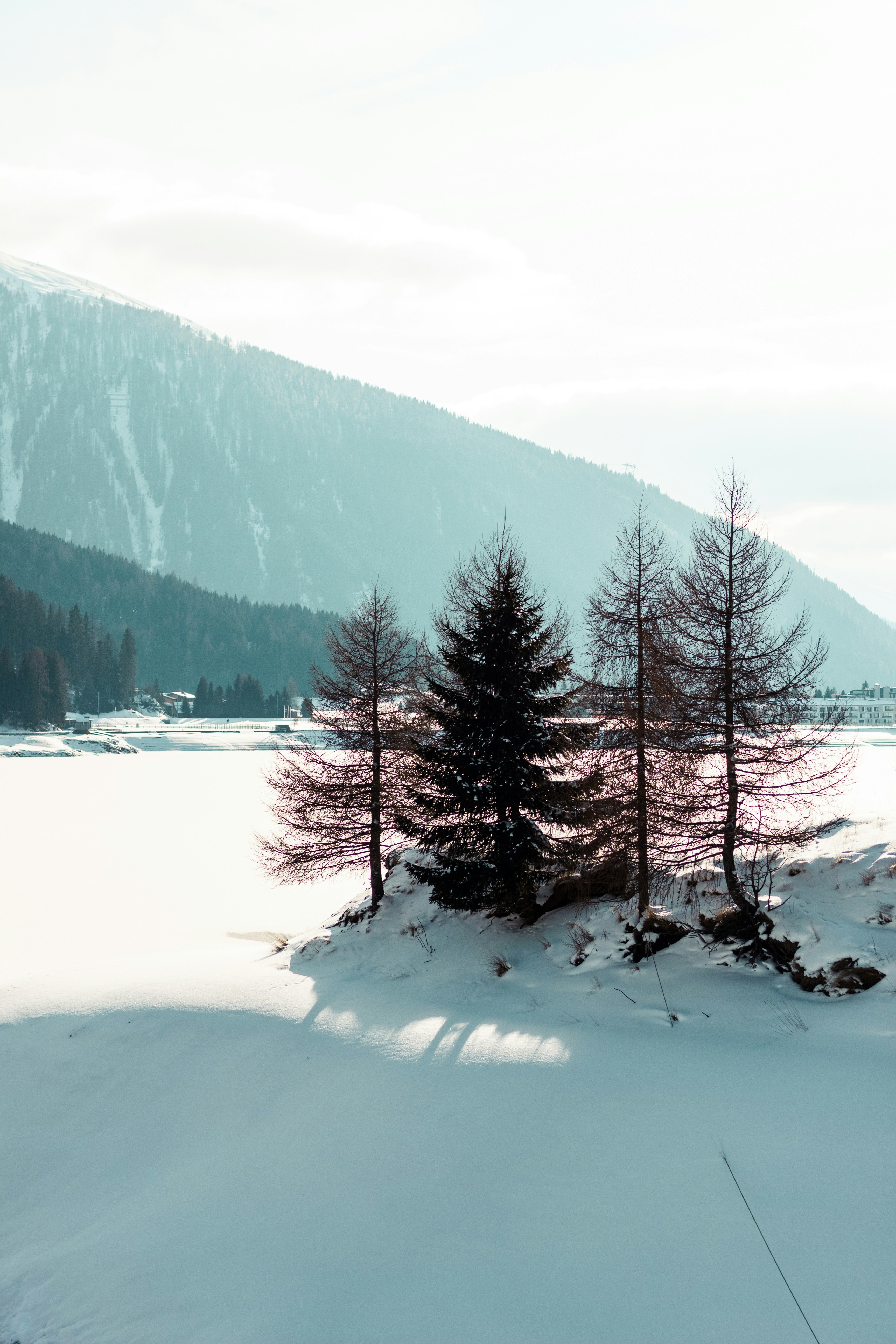 Photo by iaracorreia15