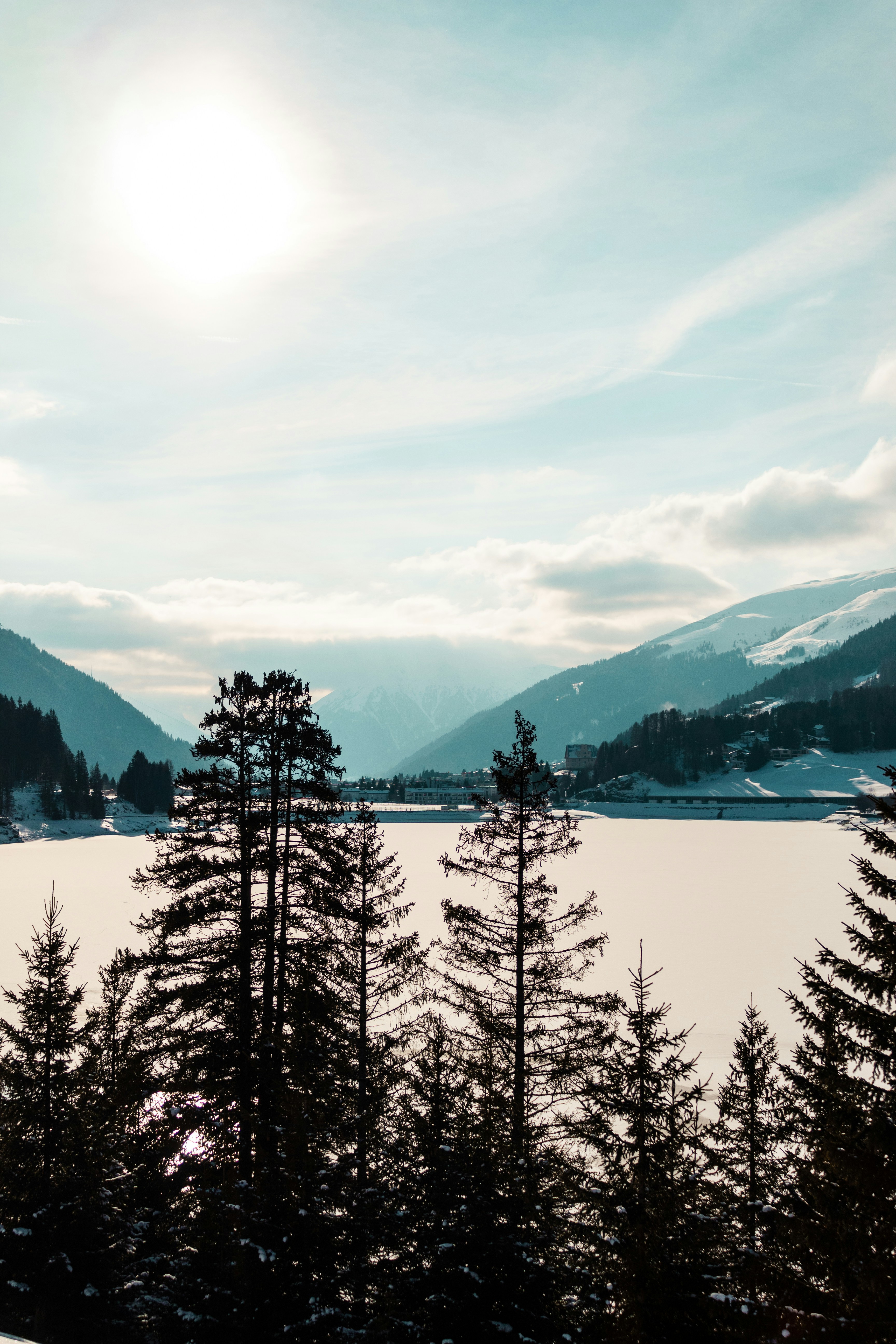 Photo by iaracorreia15