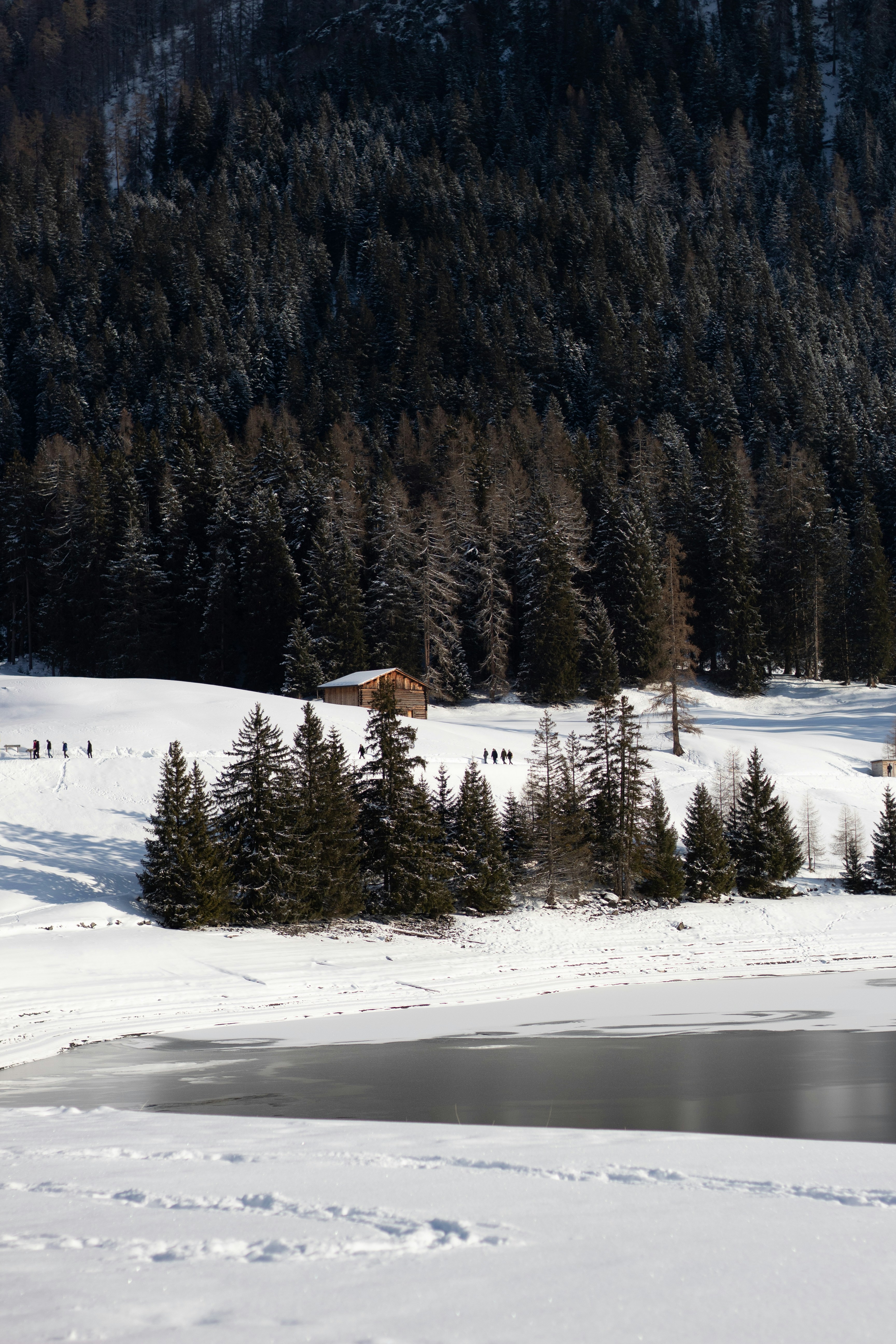 Photo by iaracorreia15