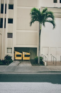 A tall, beige building with vertical lines designed into its facade. In front of the building, two yellow dumpsters are placed against a closed garage door. A lone palm tree stands on the right side near some shrubs on the ground. The scene is set along a deserted street with a sidewalk leading up to the building.