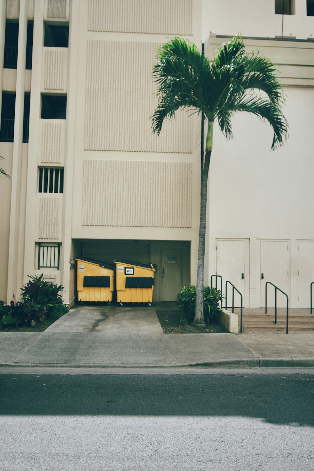 a palm tree in front of a building