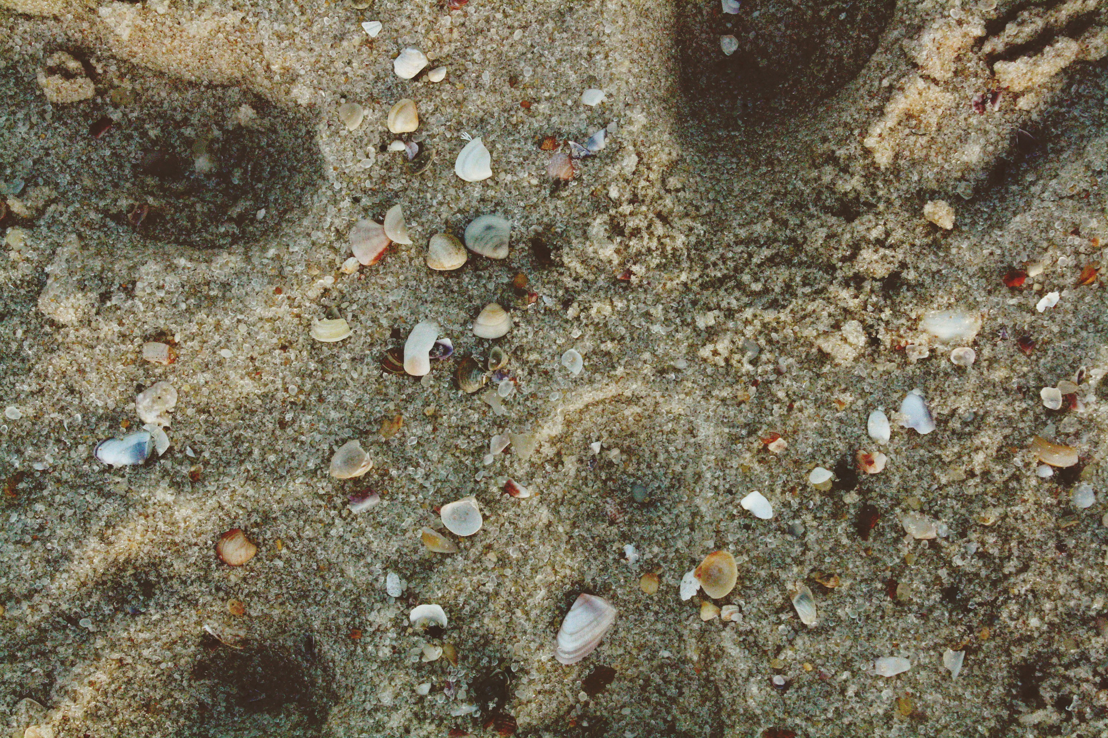 Changing the Sand’s Temperature (image credits: unsplash)