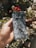 A hand holds a smartphone with a severely cracked screen, set against an outdoor background with vibrant red flowers and green foliage.
