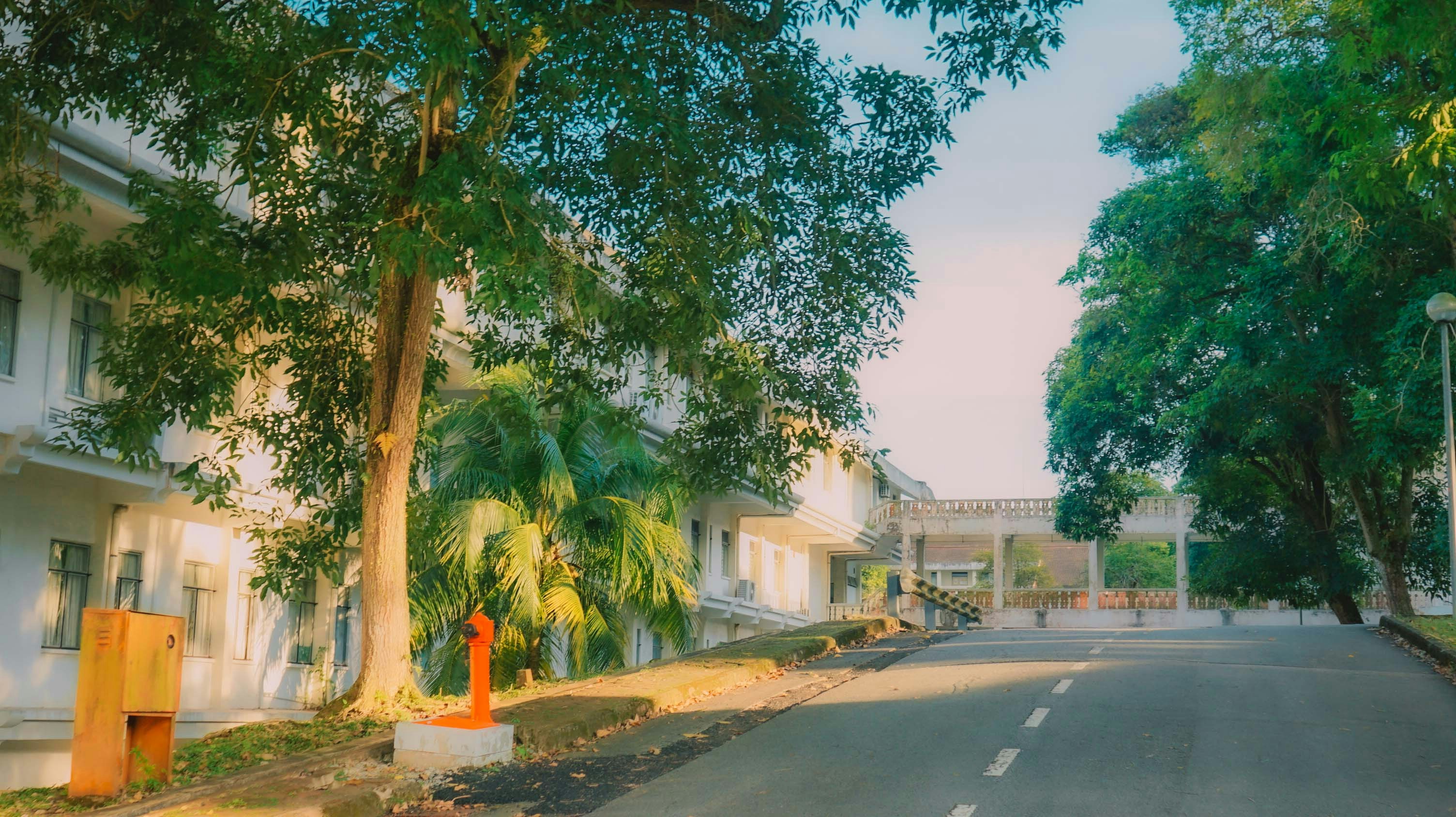 Photo by firdgraffix