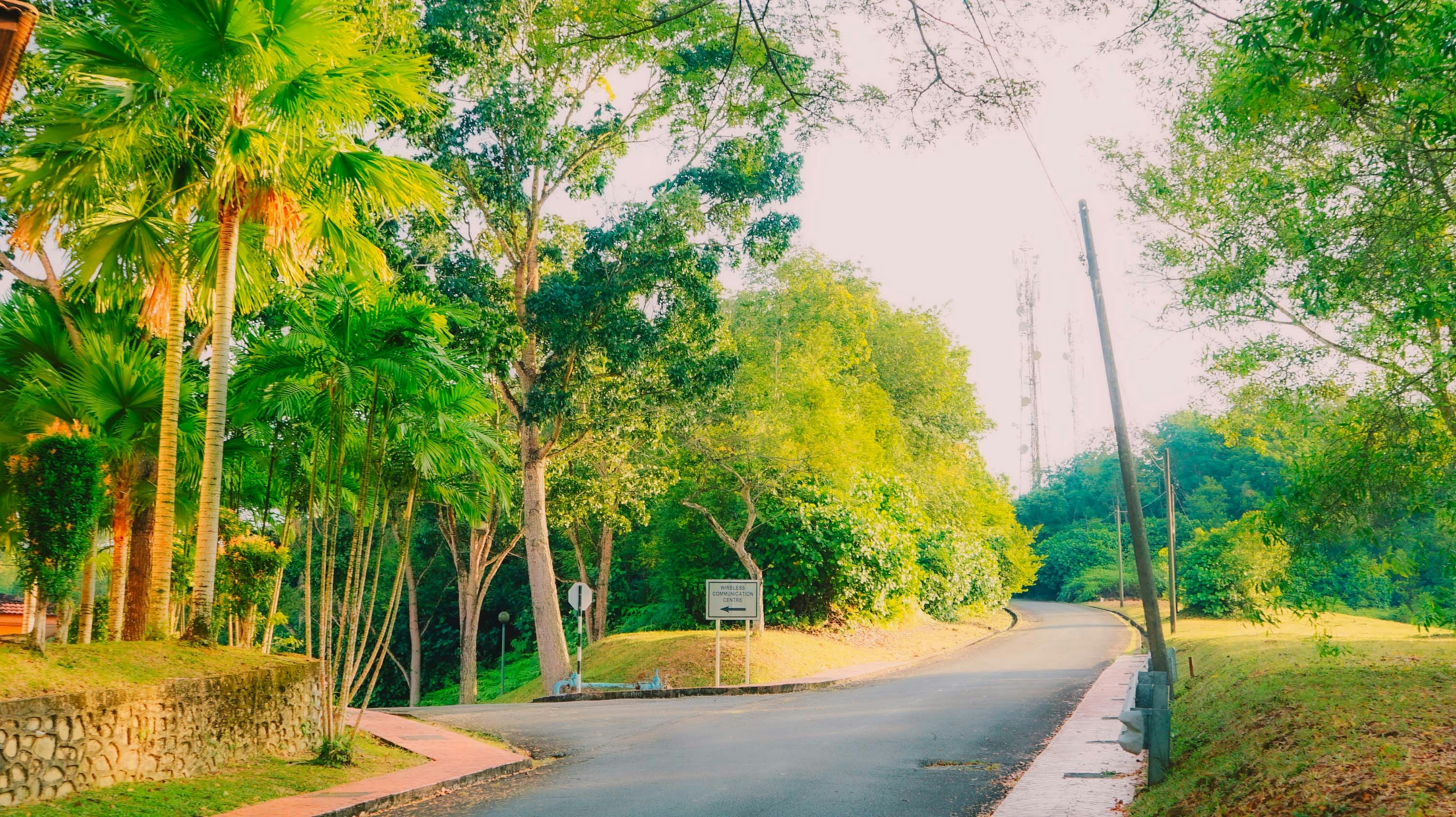 Photo by firdgraffix