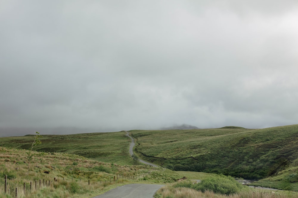 a road going through a lush green valley