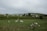 A pastoral landscape with several sheep grazing in a lush green field. In the background, there are quaint cottages surrounded by trees and rolling hills under a cloudy sky.