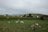 A pastoral landscape with several sheep grazing in a lush green field. In the background, there are quaint cottages surrounded by trees and rolling hills under a cloudy sky.