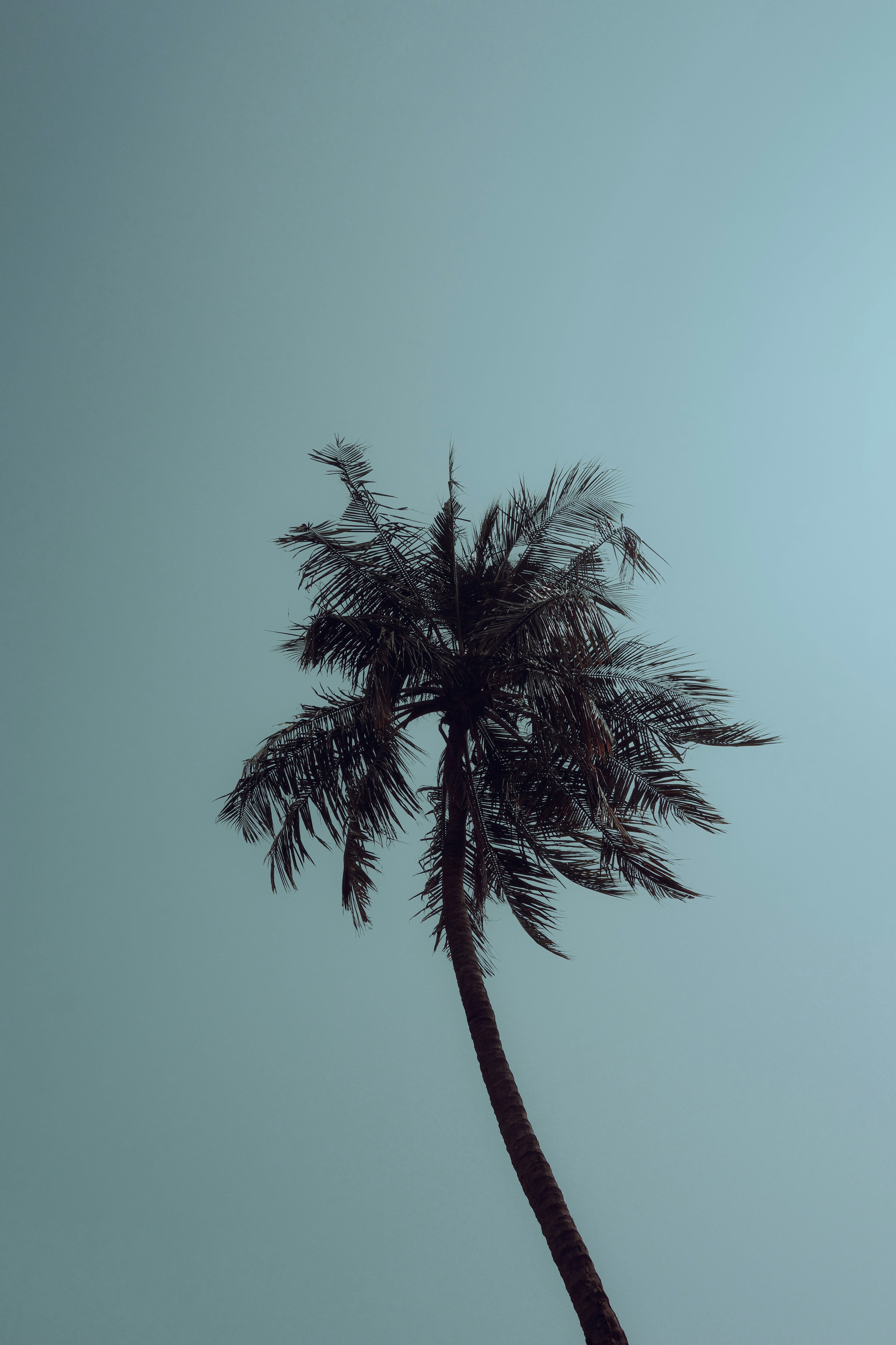 Photo by miruthulaadiyamane