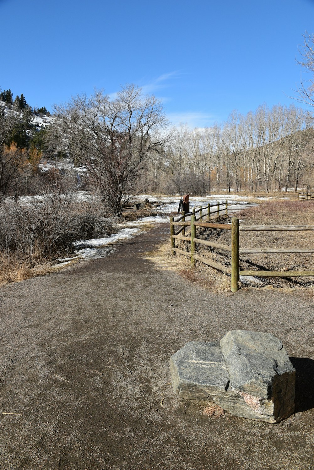 a person standing on a dirt road next to a fence