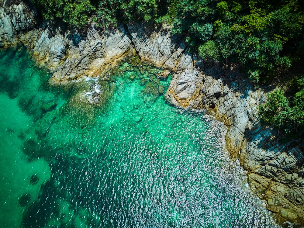 an aerial view of a body of water surrounded by trees