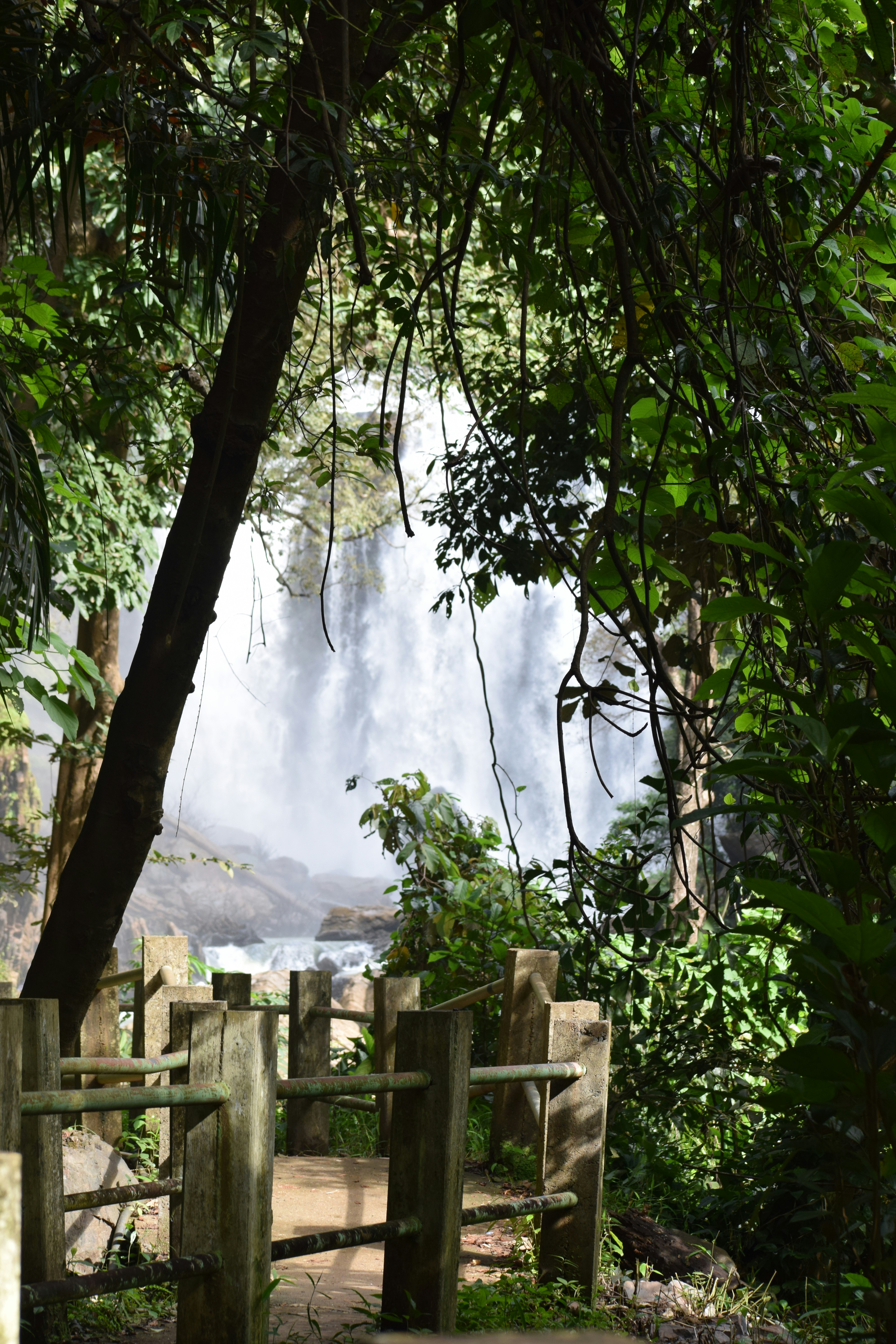 a wooden bench sitting under a tree next to a waterfall