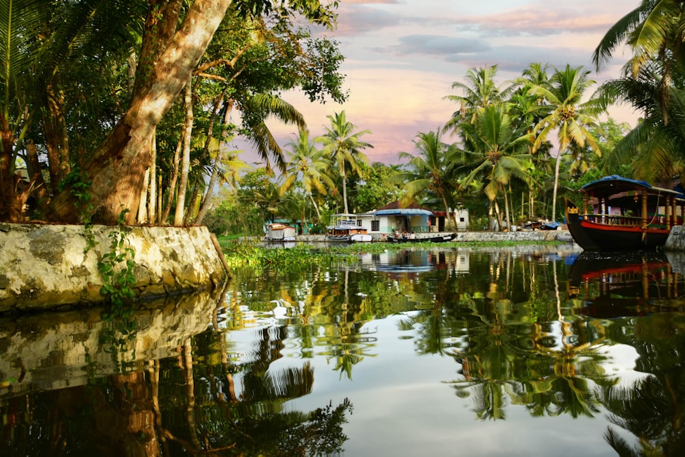 a river with boats and palm trees in the background