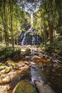 a small waterfall in the middle of a forest