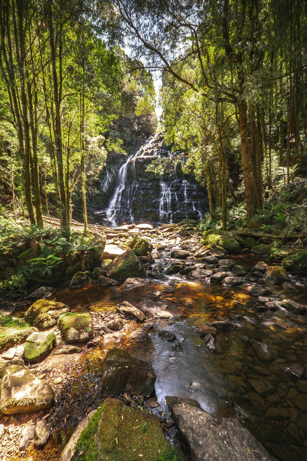 a small waterfall in the middle of a forest