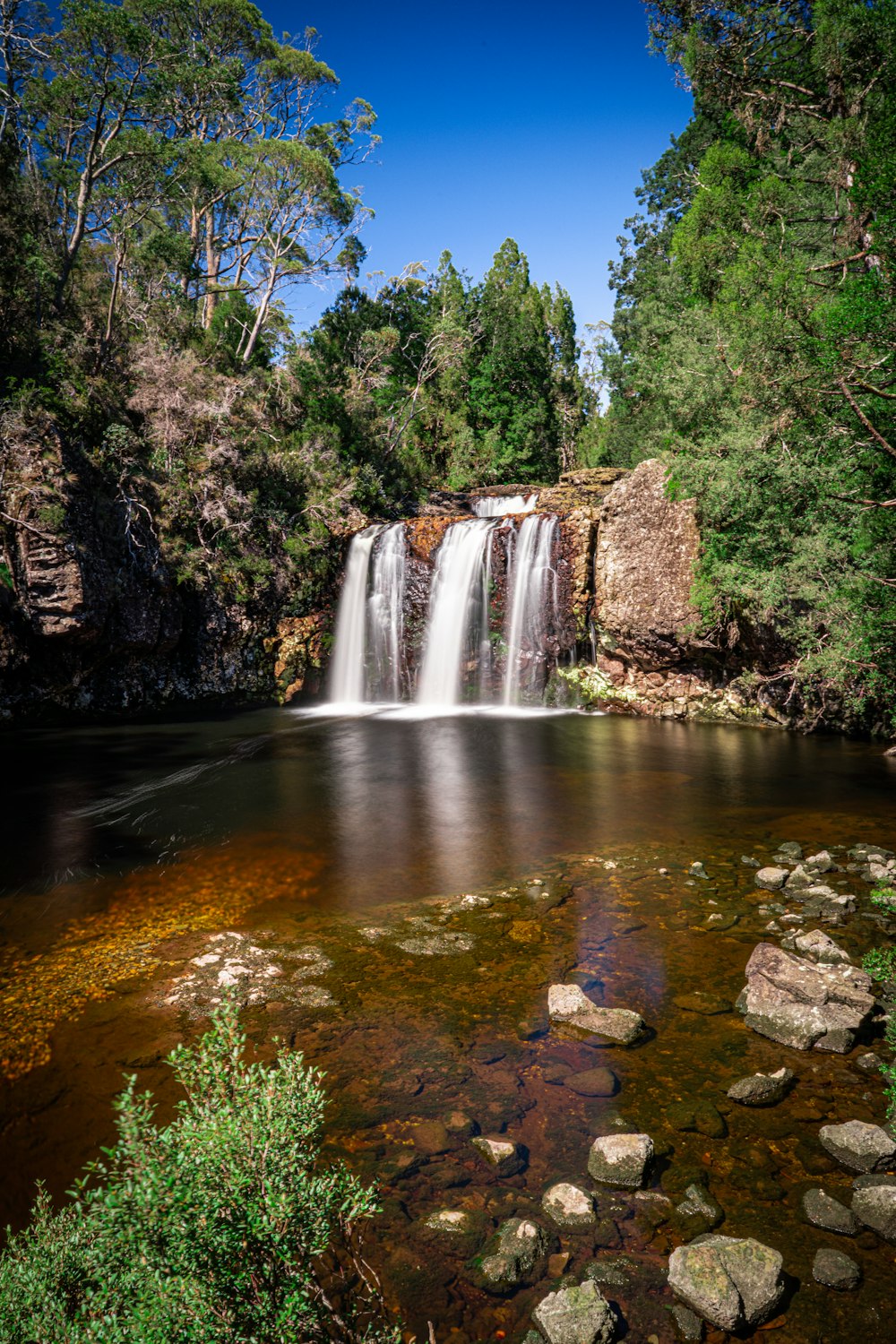 a small waterfall in the middle of a forest