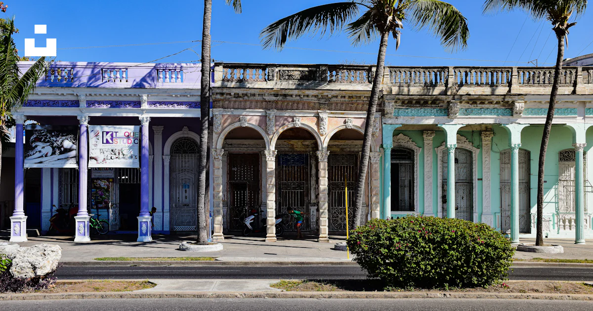 A row of palm trees in front of a building photo – Free Cuba Image on ...