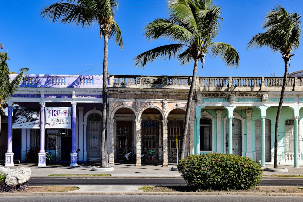 a row of palm trees in front of a building