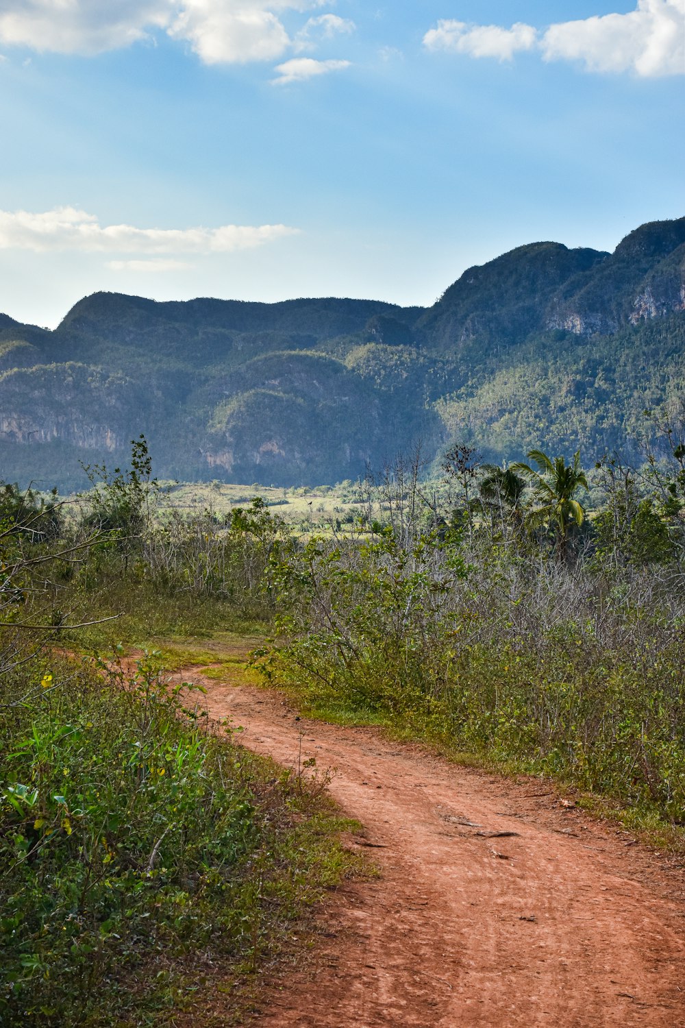 a dirt road in front of a mountain range